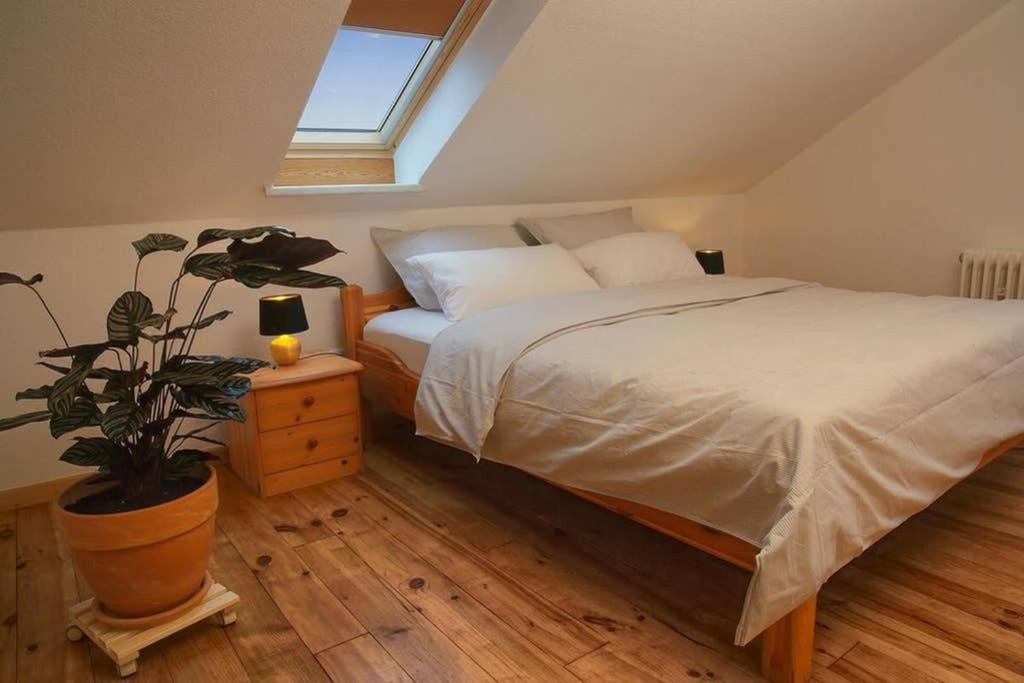 Ferienwohnung “Mount Meissner” Germerode Dış mekan fotoğraf